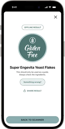 Phone showing offline scan result